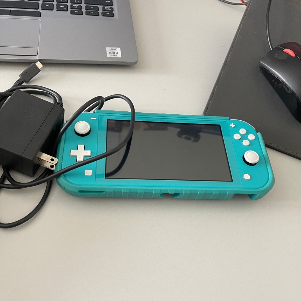 Nintendo switch lite